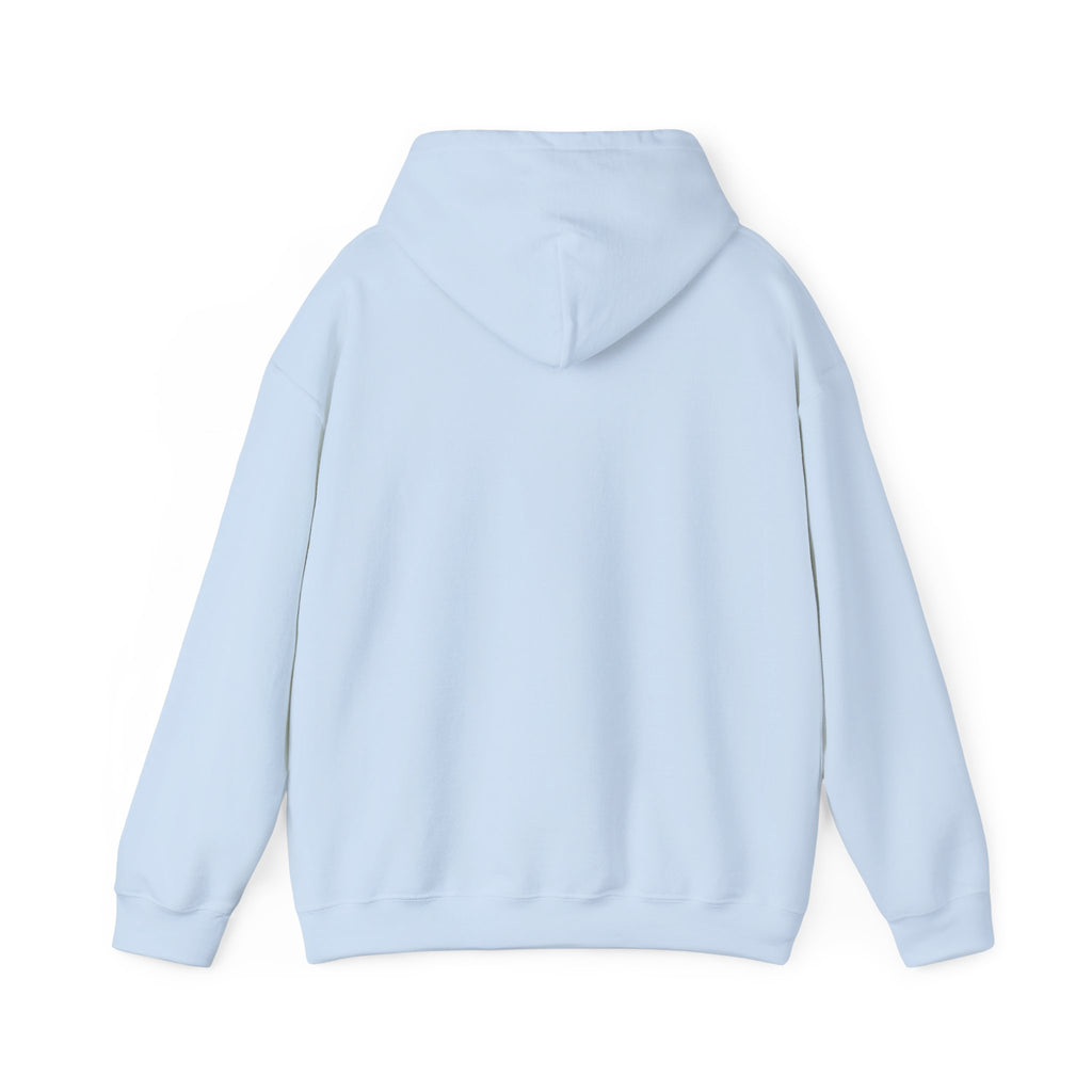 My Sport, Your Punishment Hoodie — Funny Athlete Sweatshirt for Sports Fans