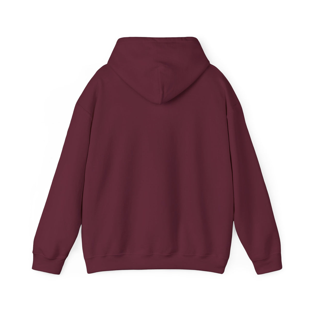 My Sport, Your Punishment Hoodie — Funny Athlete Sweatshirt for Sports Fans