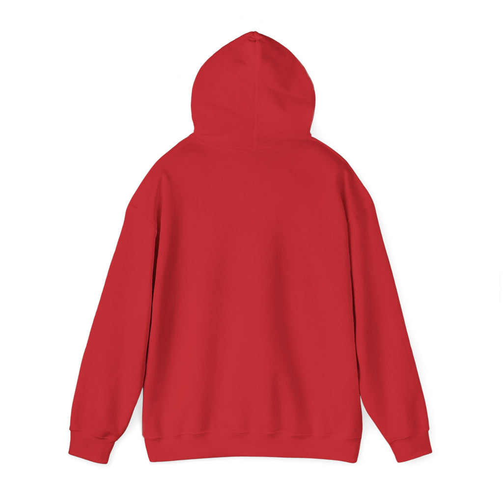 My Sport, Your Punishment Hoodie — Funny Athlete Sweatshirt for Sports Fans