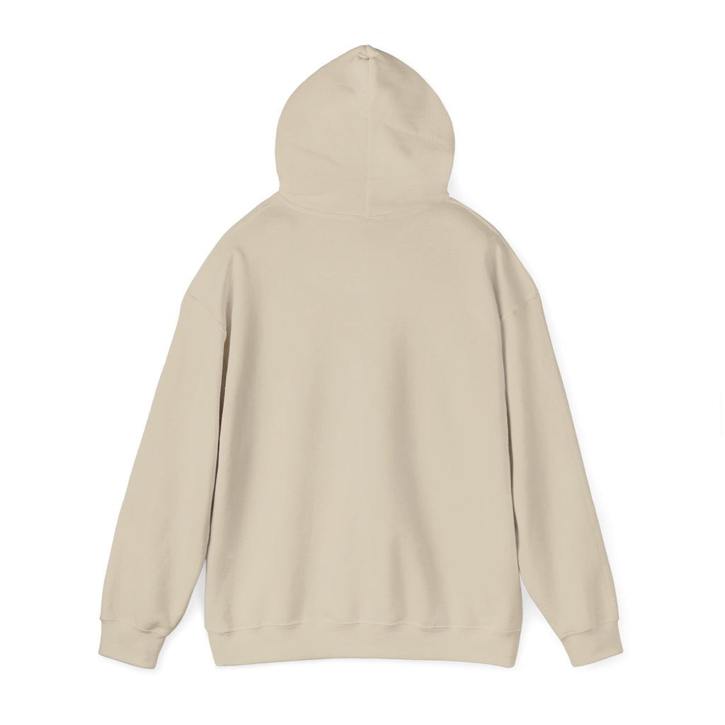 My Sport, Your Punishment Hoodie — Funny Athlete Sweatshirt for Sports Fans