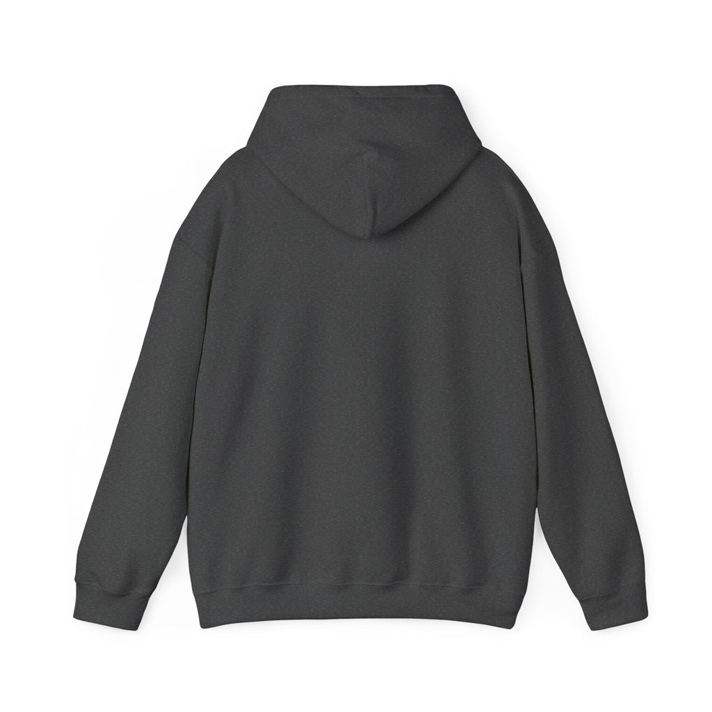 My Sport, Your Punishment Hoodie — Funny Athlete Sweatshirt for Sports Fans