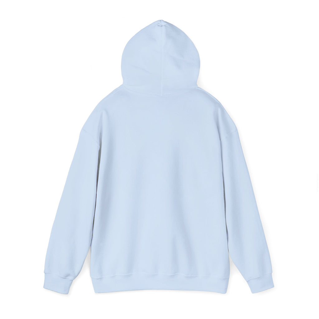 My Sport, Your Punishment Hoodie — Funny Athlete Sweatshirt for Sports Fans