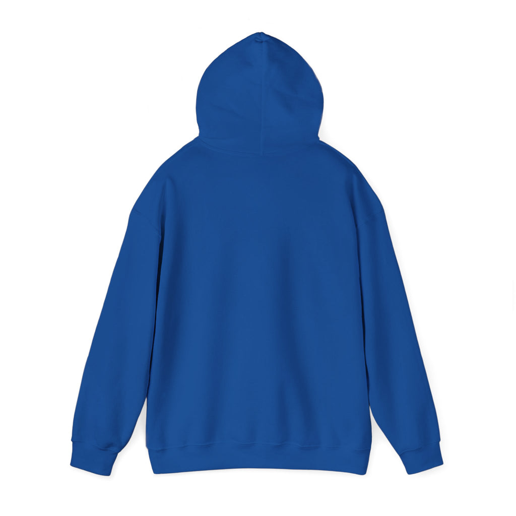 My Sport, Your Punishment Hoodie — Funny Athlete Sweatshirt for Sports Fans